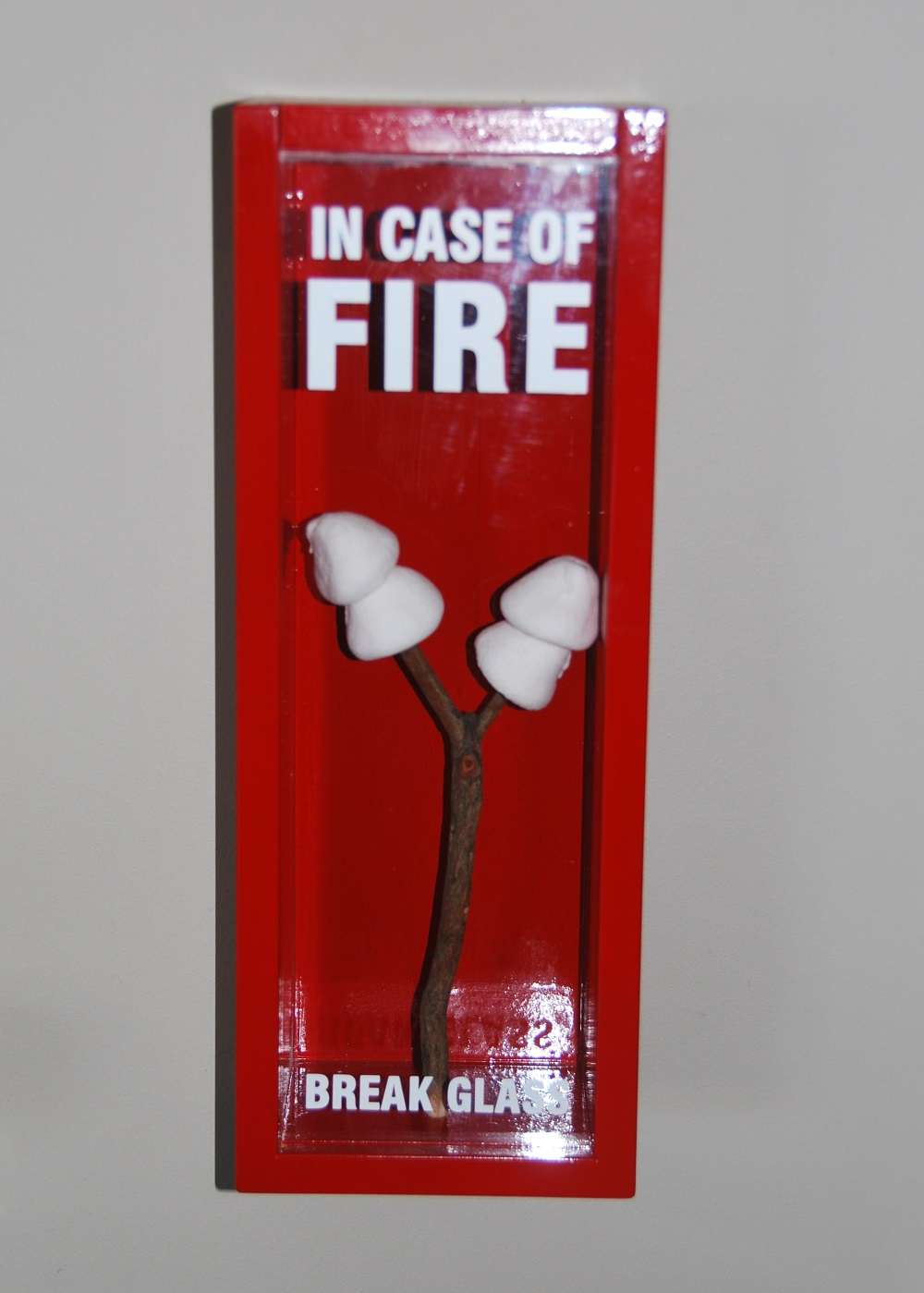 In Case Of Fire Break Glass Here