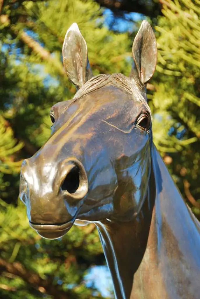 The Makybe Diva Australian Racehorse Statue | The Travel Tart Blog
