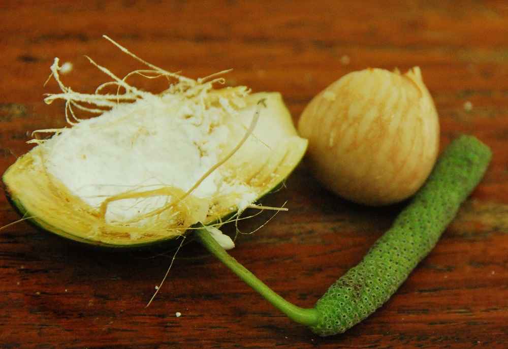 How To Eat Betel Nut - Areca in South Pacific  The Travel Tart Blog