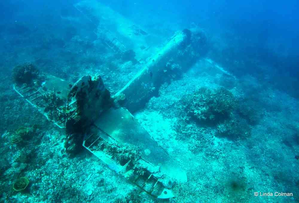 Hellcat From Above | Solomon Islands Travel Blog | Solomon Islands Diving And Snorkelling Photos To Get You Wet! | Coral Reefs, Gizo, Hellcat Wreck, Marine Life, Munda, Solomon Islands Diving, Toa Maru | Author: Anthony Bianco - The Travel Tart Blog