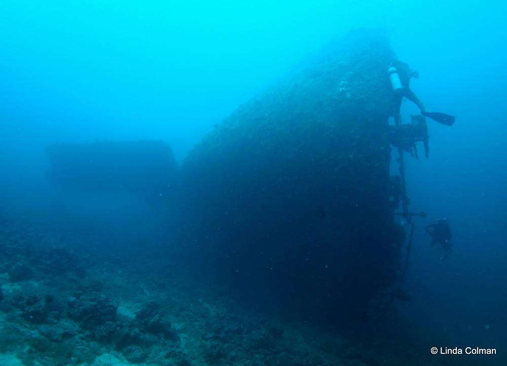 Toa Maru Gizo Solomon Islands | Solomon Islands Travel Blog | Solomon Islands Diving And Snorkelling Photos To Get You Wet! | Coral Reefs, Gizo, Hellcat Wreck, Marine Life, Munda, Solomon Islands Diving, Toa Maru | Author: Anthony Bianco - The Travel Tart Blog