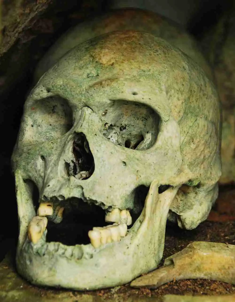 Human Skull | Solomon Islands Travel Blog | Skull Island - A Headhunter Confronter! | King Kong, Nusa Kunda, Skull Island, Solomon Islands, Things To Do In The Solomon Islands | Author: Anthony Bianco - The Travel Tart Blog