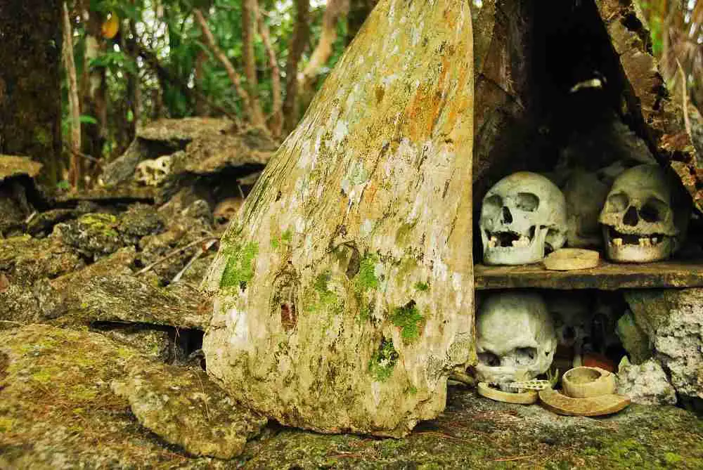 Skull Collection | Solomon Islands Travel Blog | Skull Island - A Headhunter Confronter! | King Kong, Nusa Kunda, Skull Island, Solomon Islands, Things To Do In The Solomon Islands | Author: Anthony Bianco - The Travel Tart Blog